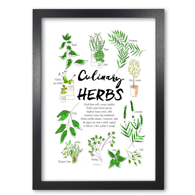 Culinary Herbs - Single Picture Frame Print, Black Grain, 29.7 cm H x 21 cm W x 5 cm D