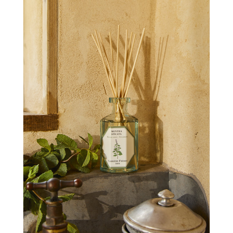Rose Mint Diffuser, Spearmint