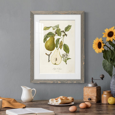 " Vintage Pears II " Painting Print