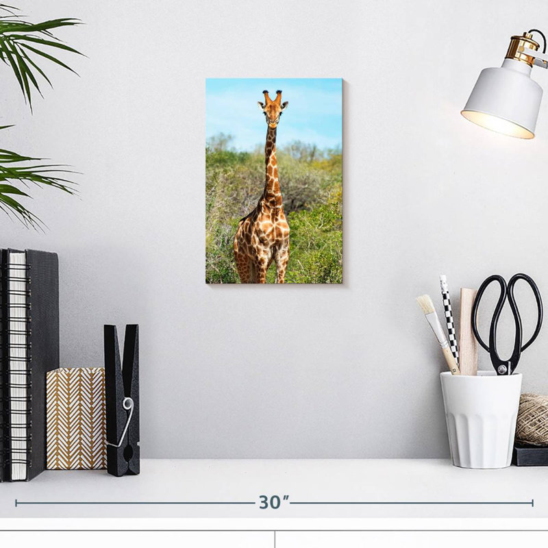 Brampt Awesome Afrique du Sud - Portrait de girafe I, H 12 po x l 8 po
