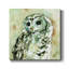 Hibou des bois - reproduction sur toile tendue-1555957528