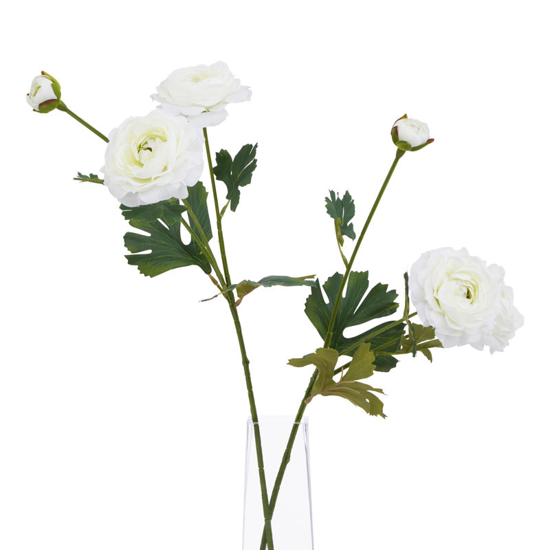 Arrangement