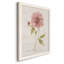 Soft Peony - peinture sur toile encadrée-61358260-61358262