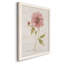 Soft Peony - peinture sur toile encadrée-61358262-61358268