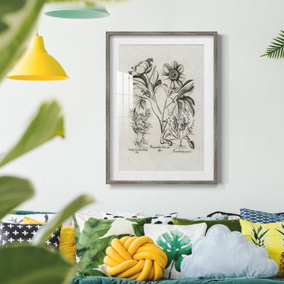 Vintage Floral Print CCCXXIX -Framed Print
