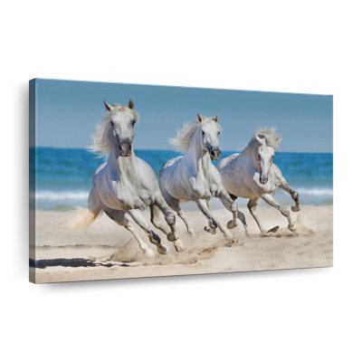 Wild Beach Horses Canvas Print