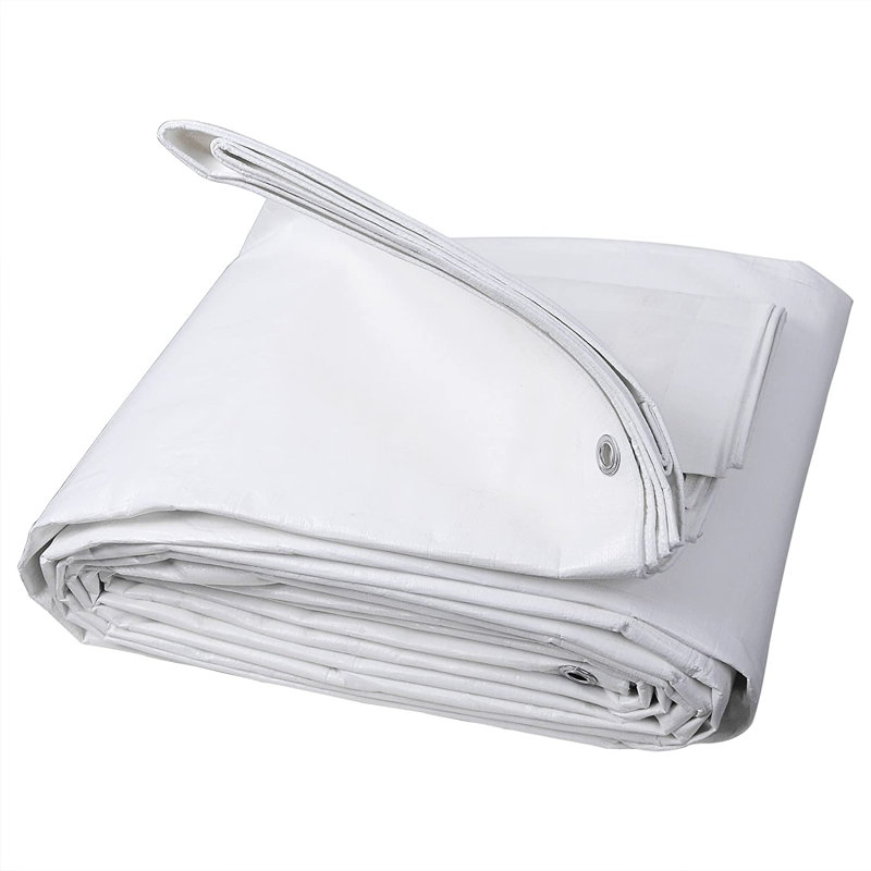 Napanoch Automobile Cover, White, 0.2cm H x 600cm W x 800cm D