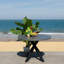 Saxon Outdoor Round Dining Table-1047271231