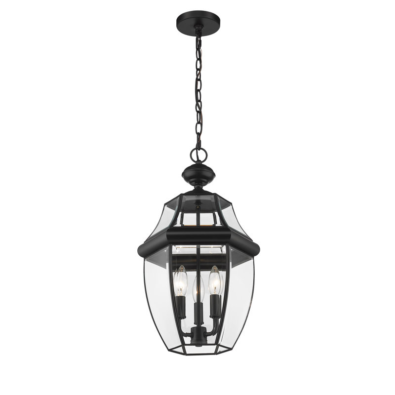 Allianora 3 - Light Outdoor Hanging Lantern