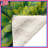 Green Floral Illustration Blankets-123335522