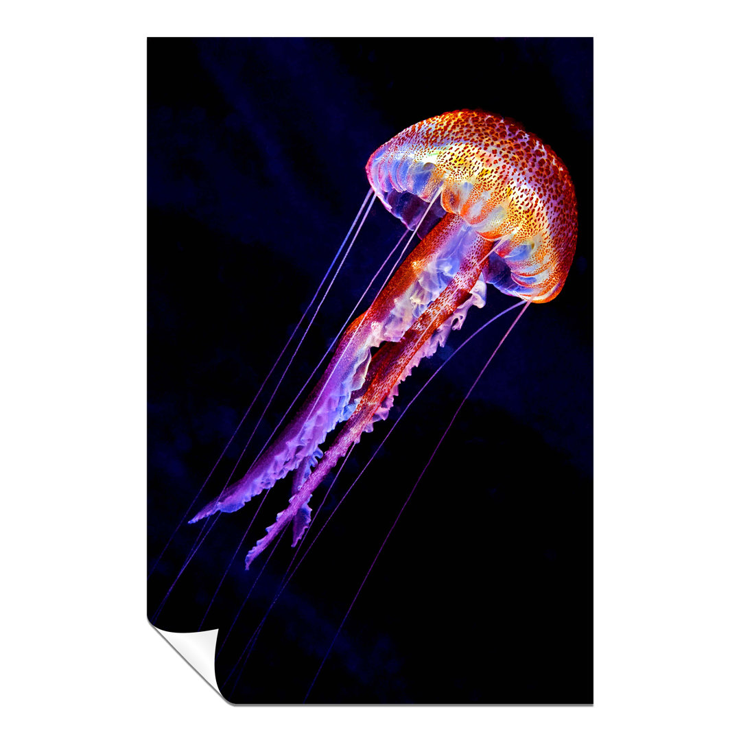 Panther Print Fine Art Prints Colorful Glowing Jellyfish Underwater Artistic Unframed Poster, Pictures For Home Walls, Bedroom, Living Room & Bathroom