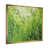 Gold Single Picture Framed