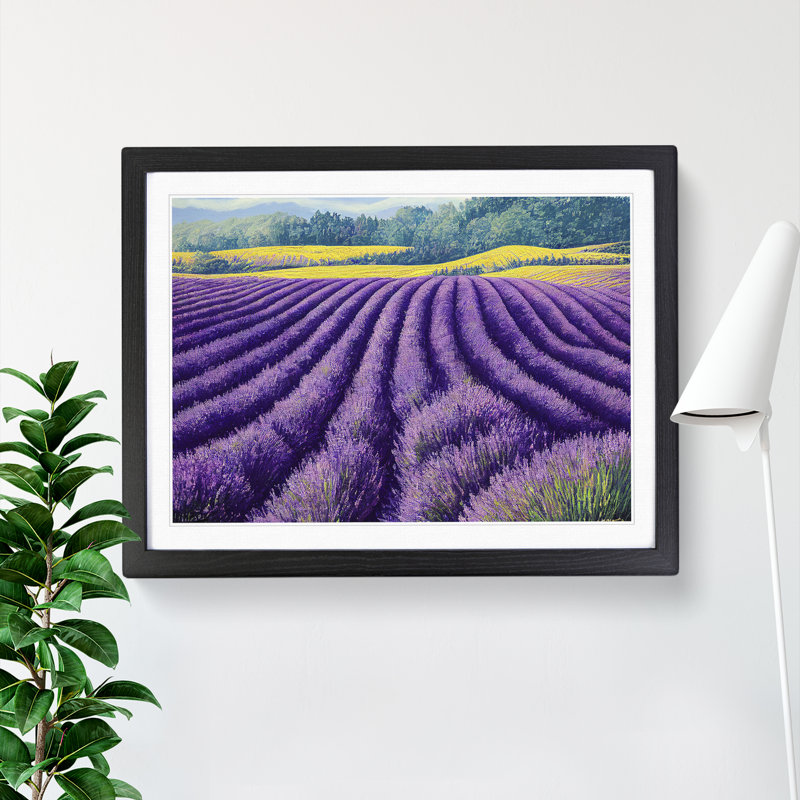 XH1022-9689X Vivacious Lavender Flower Field - Single Picture Frame Print, 46cm H x 64cm W x 2cm D, Black Framed