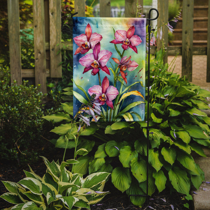 Orchidées paphiopedilum, drapeau du jardin, Orchidées