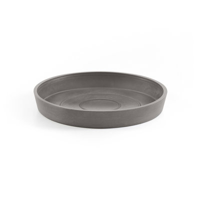 Saucer Plant Stand