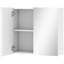 W H Medicine Cabinet Mirror