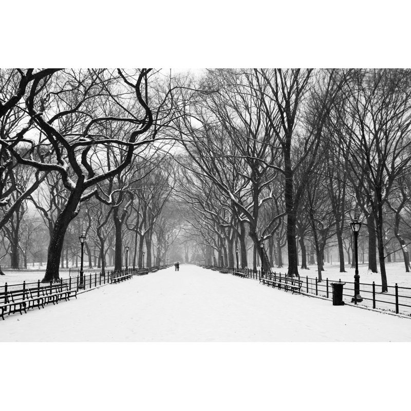 Central Park View - Wrapped Canvas Print, 51cm H x 76cm W x 3.8cm D