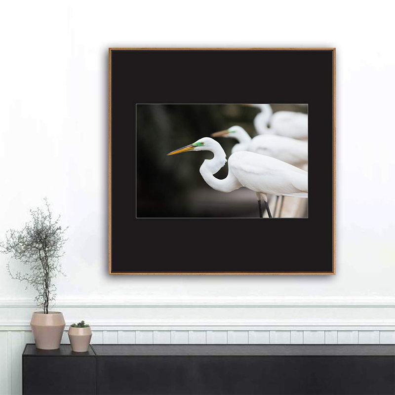H05 A Bird debout, reproduction sur toile, H 24 po x l 24 po, Naturel