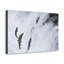 No Frame Print on Canvas-965246027