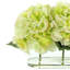 Hydrangeas Arranged in Clear Glass Vase-1541245381