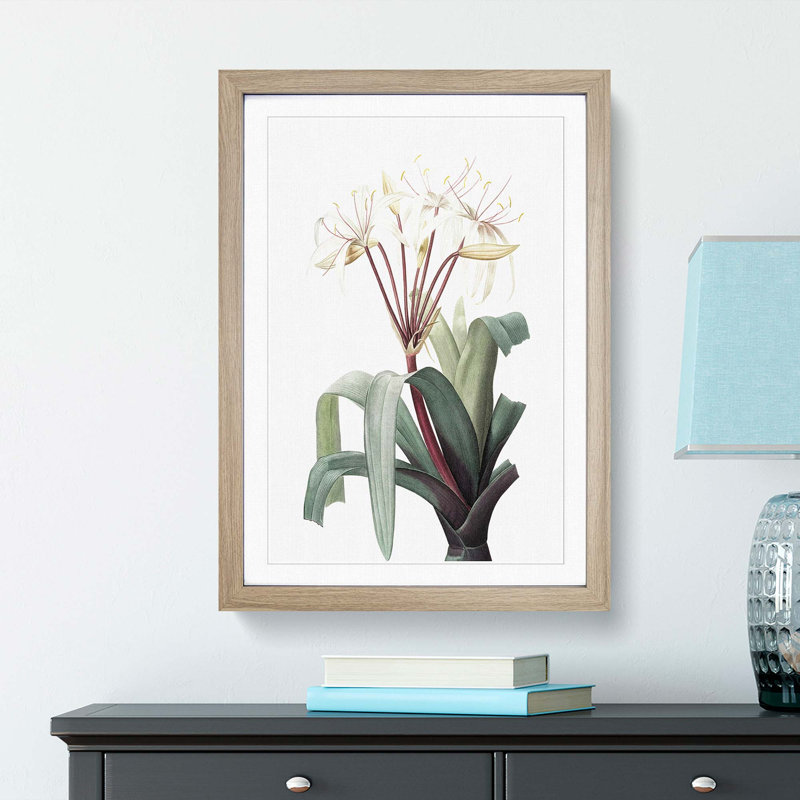 White Crinum Flowers - Picture Frame Art Prints, 65cm H x 48cm W x 2cm D, Oak Framed