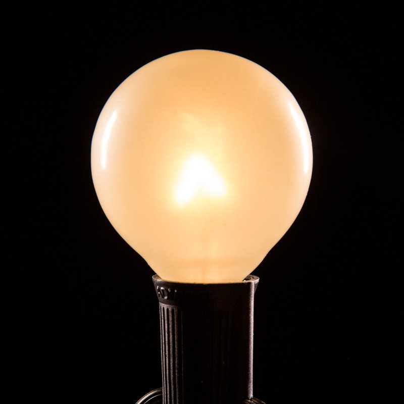 Conde Outdoor 25 - Bulb 25'' Plug-in Globe String Light, Black