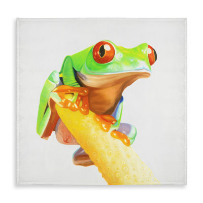 Curious Red Eyed Frog Tablecloth - Wildlife Decor for Home