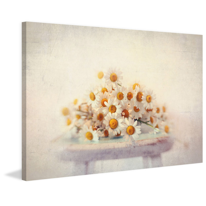 Sylvia Cook - Wrapped Canvas Print, 101cm H x 152cm W