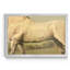 «Cassells Thoroughbred II», impression sur toile encadrée-109003362-109003361