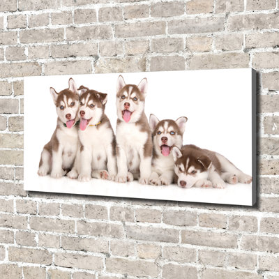 Husky Puppies - No Frame Print on Glass
