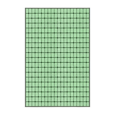Indoor Rug