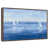 Floating Frame Walnut