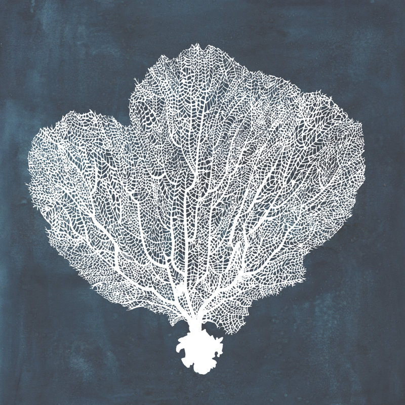 Inverse Sea Fan I by Grace Popp - Wrapped Canvas Painting, 76cm H x 76cm W x 3.8cm D
