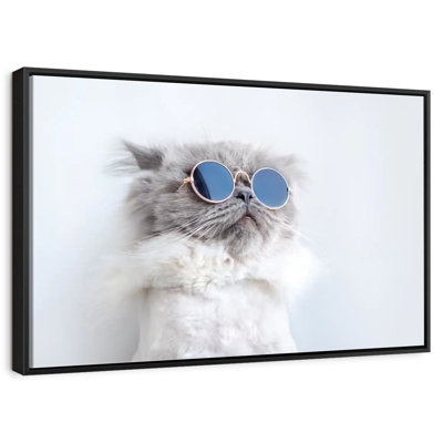 Cool Cat