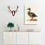 Female Mallard Duck by Von Wright - Wrapped Canvas-55316443