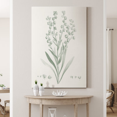 «Botanical Study in Sage I», reproduction d'art sur toile tendue