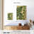 Harnek Various Ferns-108383385