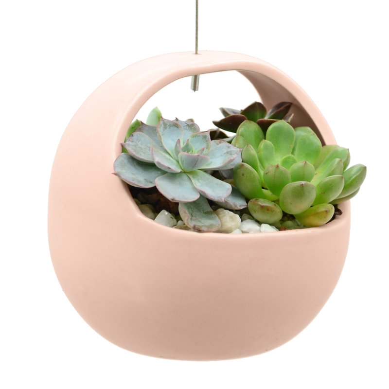 Pot à fleurs suspendu en céramique Tarvo, Corail
