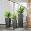 Cubico Ceramic Pot Planter-16493088