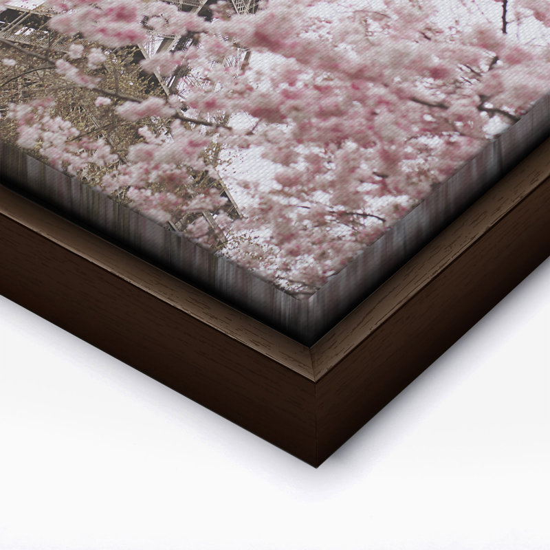 Blooming Paris, Canvas, 08"H x 10"W, Brown Framed
