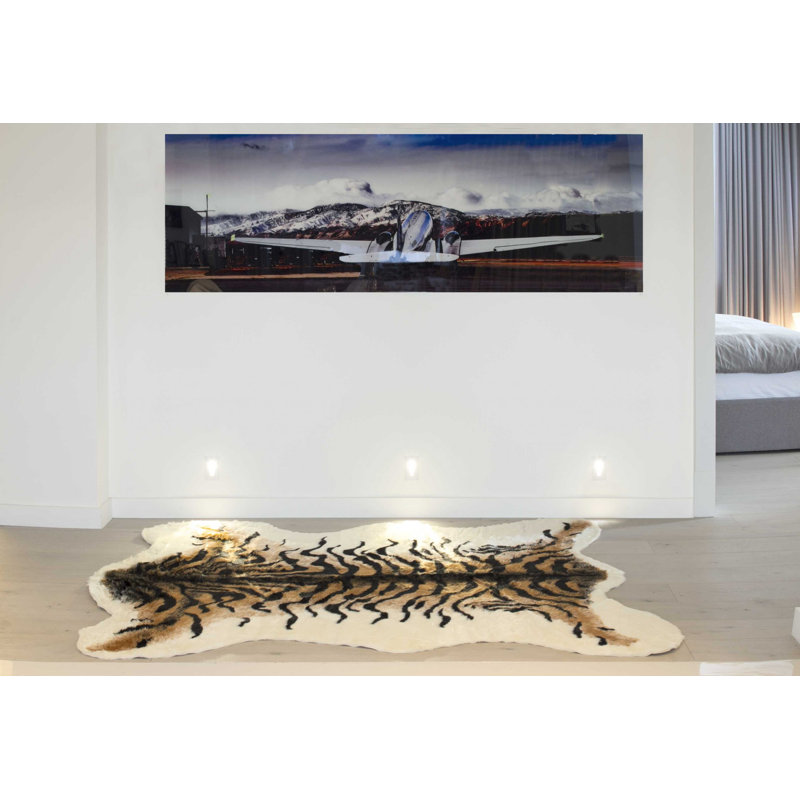 Hollin Cowhide Animal Print Indoor Rug, Novelty 5.25' x 7.5'