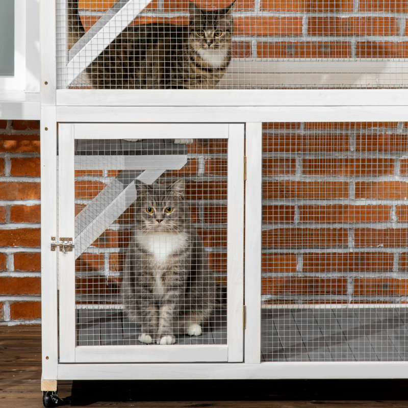 Chat d'extérieur de 74 po et sur roulettes, maison en bois pour grands félins, grande capacité, gris, sur roulettes, capacité silencieuse