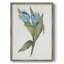 Blue Tulip Picks II, reproduction encadrée - bois massif 47863-1058843847