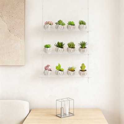 Tablette réglable à 3 niveaux pour plantes suspendues - Présentoir de jardin intérieur en acrylique transparent avec transmission élevée de la lumière du soleil pour les plantes grasses, les fleurs et les semis