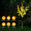 Piquet de jardin solaire solaire Katheen