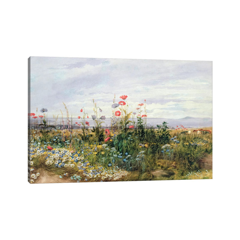 Wildflowers With A View Of Dublin Dunleary by Andrew Nicholl - Wrapped Canvas Print, 20.32 cm H x 30.48 cm W