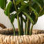 Faux arbre en pot 33 "