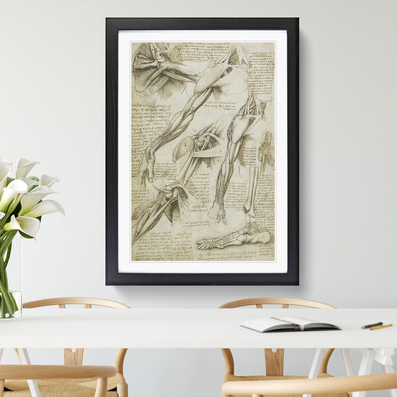 Human Anatomy Vol.1 by Leonardo Da Vinci - Picture Frame Drawing, 48cm H x 36cm W x 2cm D, Black Framed