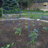 Bowermaster Metal Weather Resistant Plant Support-27157352-27157358
