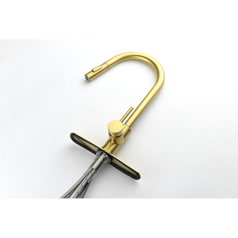Kitchen Faucet With Pull Down Sprayer